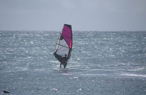 Vista Romantica Madeira - Photo 70