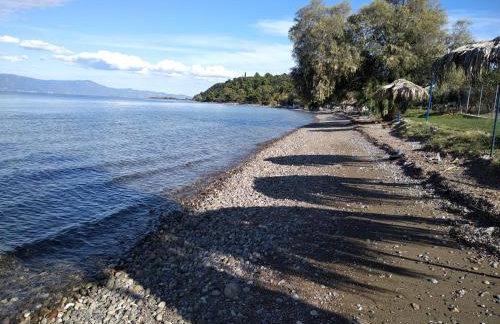 Kalypso relaxing shelter - Foto 41