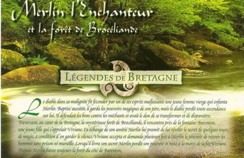 le bois du loup en brocéliande - Foto 22