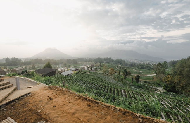 Desa Kepompong by Sinergi - Photo 26