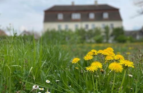 Gärtnereihaus in Fürstlich Drehna - Spreewald - Foto 8