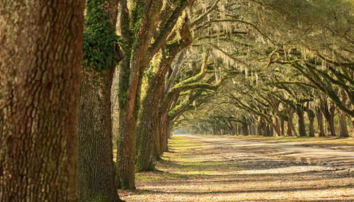 Anderson Place - Foto 3