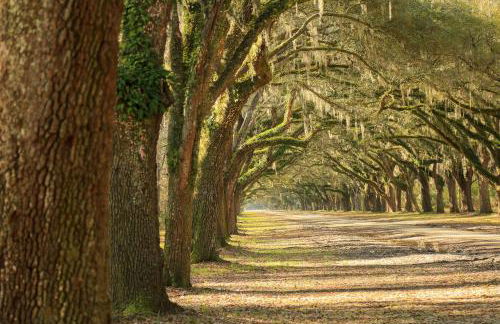 Anderson Place - Foto 3