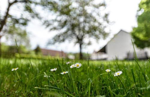 Nengshof Ferienwohnung Wildrose - Foto 61