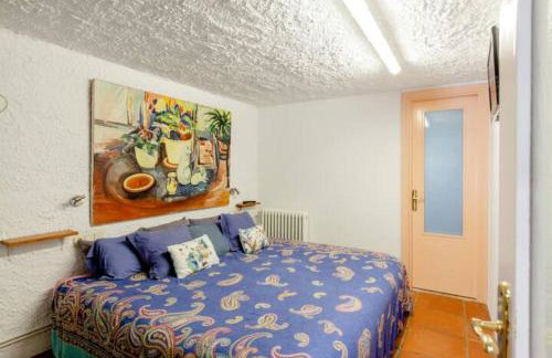 MASIA CAN SUNYER AGROTURISMO - Foto 1