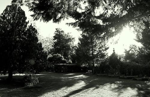 La Francigena - Foto 17