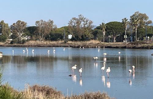 Villa Lilause - Foto 39