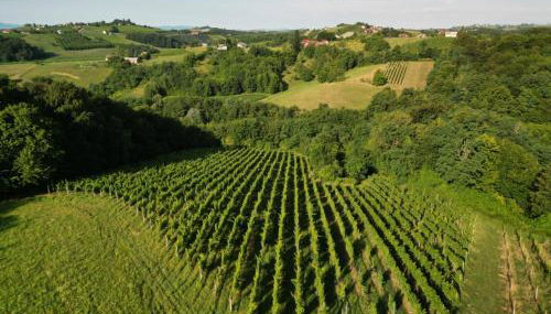 Ruralna kuća za odmor Julijana - Foto 3