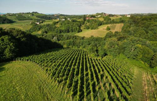 Ruralna kuća za odmor Julijana - Foto 3