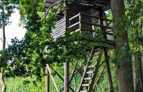 kuscheliges Waldhaus Kaminknistern - Photo 28