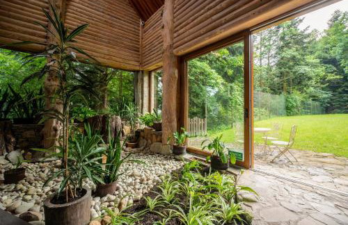 Bacówka Biały Jeleń - Photo 21