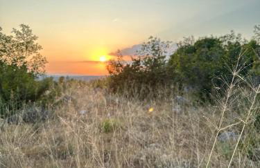 Apartment Vidoni - Photo 40