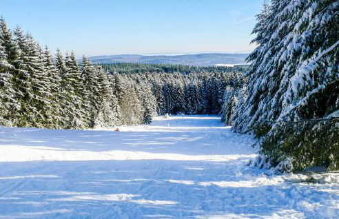 Ferienpark Wolfsschlucht - Foto 33