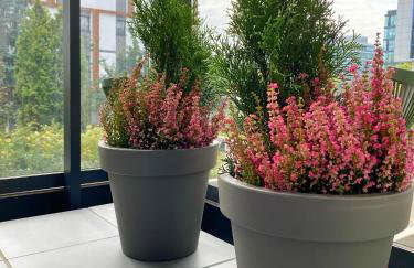 Living Point Mokotów - Foto 26