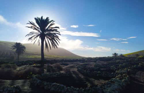 LUZ, CALMA Y SABOR MANRIQUEÑO EN MATAGORDA - Foto 36