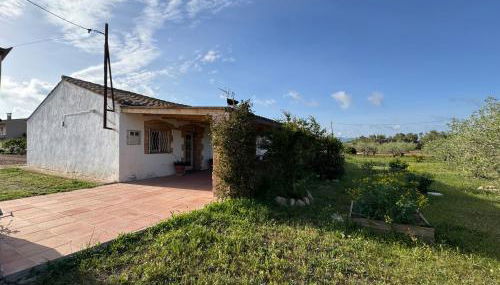 Masia en el Delta del Ebro - Foto 5