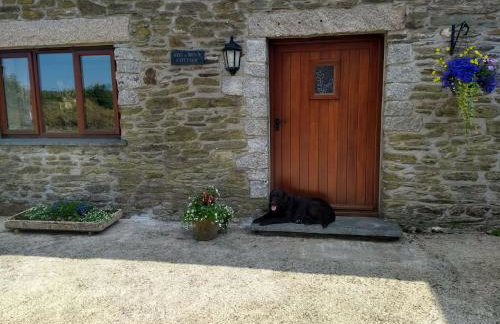 Fentrigan Manor Farm & Holiday Cottages - Foto 26