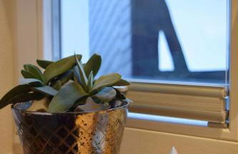 Ferienwohnungen Schneider - Foto 48