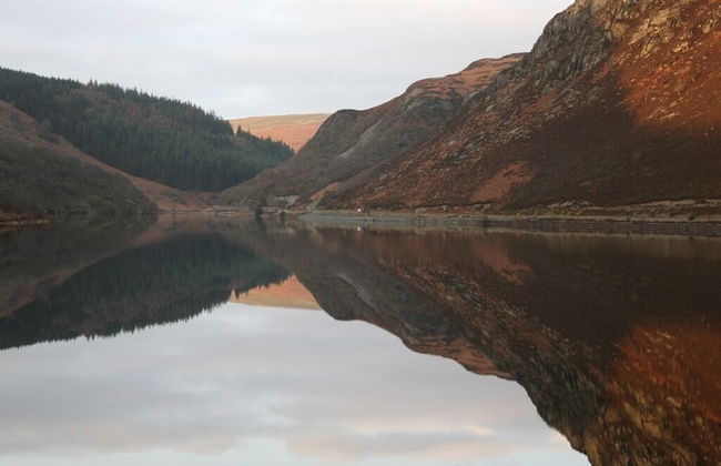 Bronfelin & Troed-y-rhiw Holiday Cottages - Foto 28