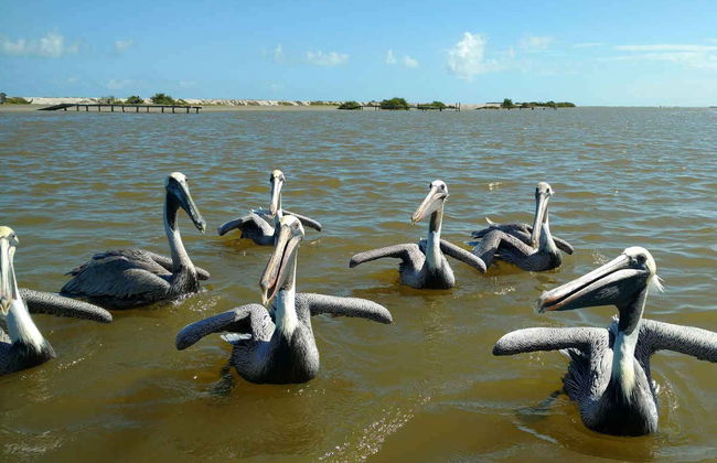 Ek Balam Excursion + Lagartos River Boat Trip - Photo 3