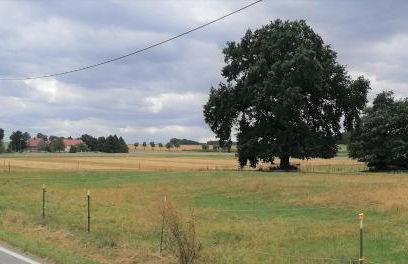 Weidenblick - Foto 17