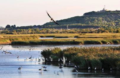 Studio confortable avec climatisation au Cap d'Agde avec port, plages et nature accessible à pied - Foto 16