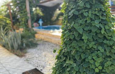 Pousada dos Sonhos - Photo 60