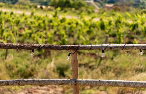 Agriturismo Dispenza - Foto 116