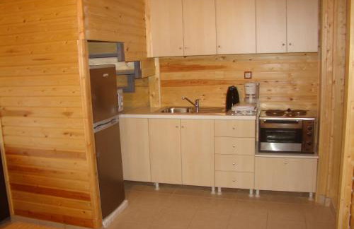 Zeus-Village οικισμός φινλανδικών chalet με πισίνες & γυμναστήριο - Foto 62