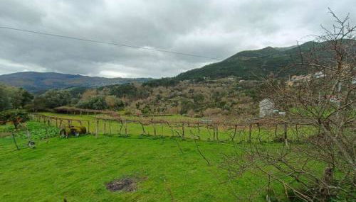 Casa Vinograd - Photo 3