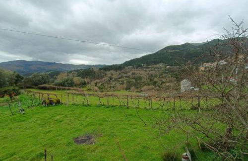 Casa Vinograd - Foto 3