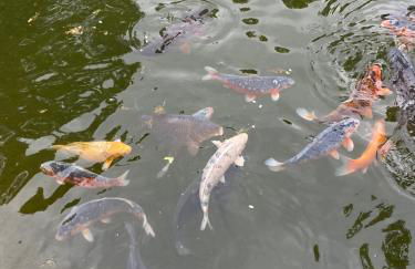 Appartementhof Stadler - Foto 44