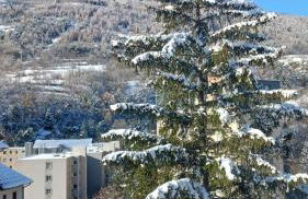 Coquet appartement Type 2 de 56 m² en centre ville - Foto 2