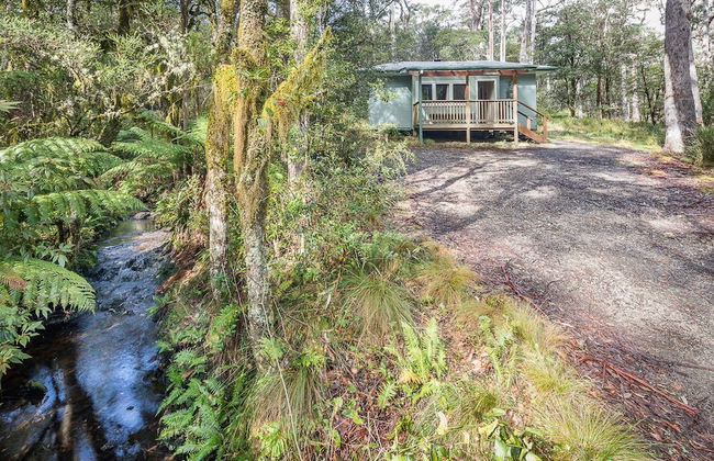 Toms Cabin - Photo 11