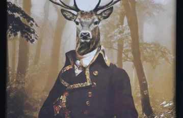 Schorn³ Appartements - Foto 21