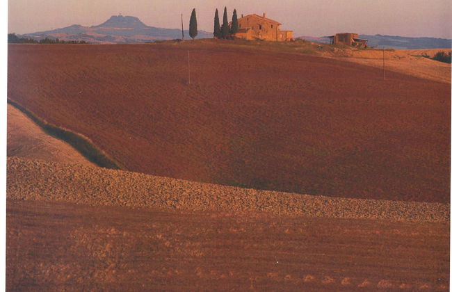 Agriturismo Bonello - Photo 38