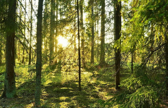 6 Person Holiday Home in Skummeslovsstrand - Foto 28