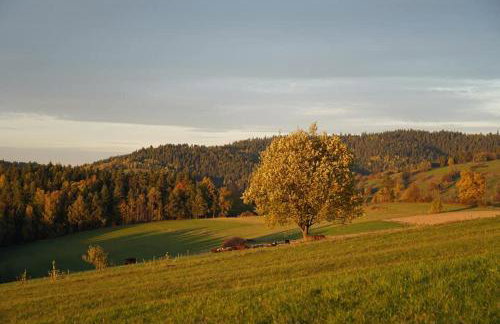 Między Wierchami - Foto 12