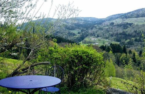 Charmant studio dans ferme avec terrasse et parking - montagnes des Vosges - FR-1-589-164 - Foto 4