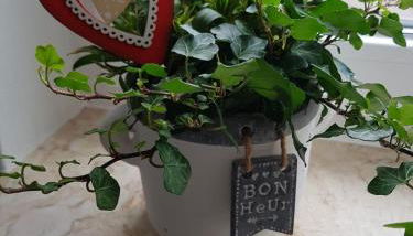 Alaras Apartment - Photo 5