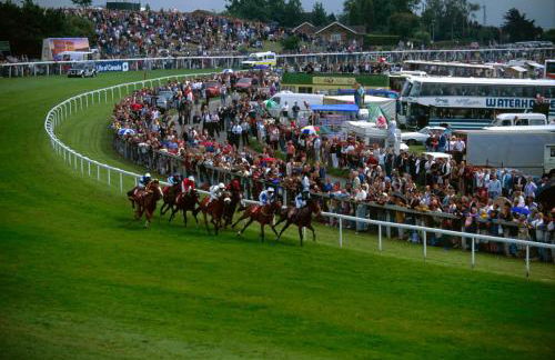 City Service Lets - Large Cheam Village 1 bed Apartment with Free parking - Fantastic Transport Links - Foto 10