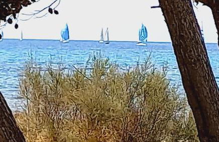 Attico Margherita - LA TERRAZZA SUL MARE - Foto 31