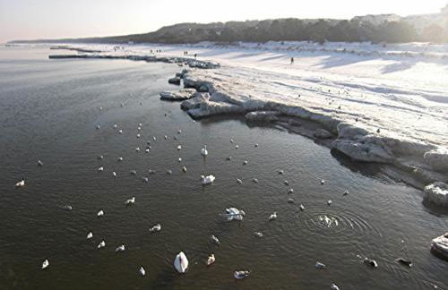 Ferienwohnung mit Terrasse - Insel Usedom - Foto 64
