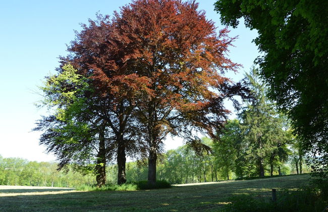 Pleasant Fermette with Outdoor Swimming Pool near Durbuy - Foto 28