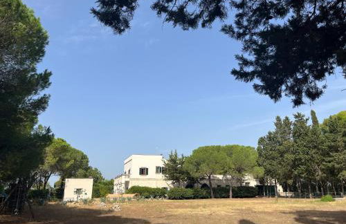 Masseria La Camardia - Foto 143