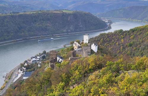 Rheinferien - Foto 20