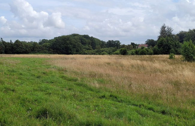 4 Person Holiday Home in Hovborg-by Traum - Foto 22