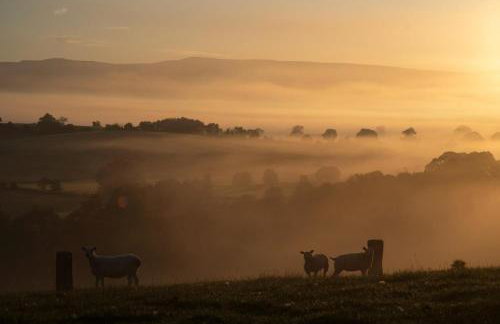 Mill Race at Broughton Sanctuary - Foto 16
