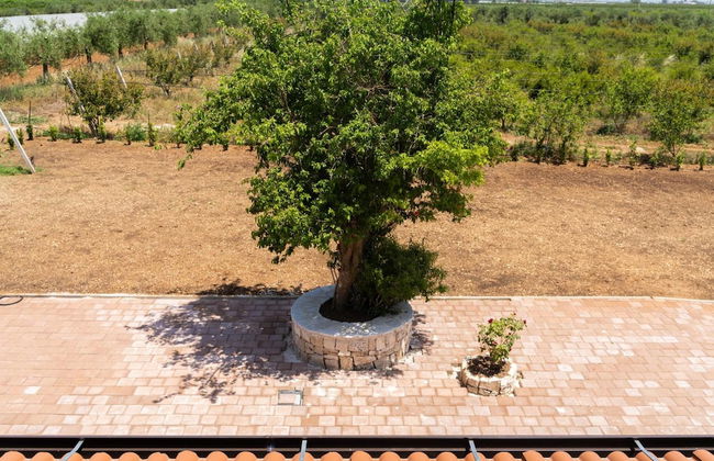 Agriturismo Sant'Andrea - Foto 46