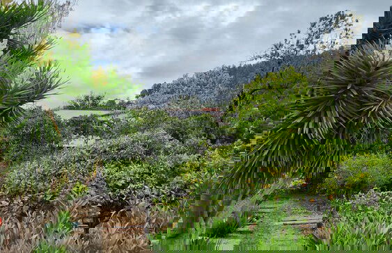 Oasis Hill Botanical Garden - Foto 61